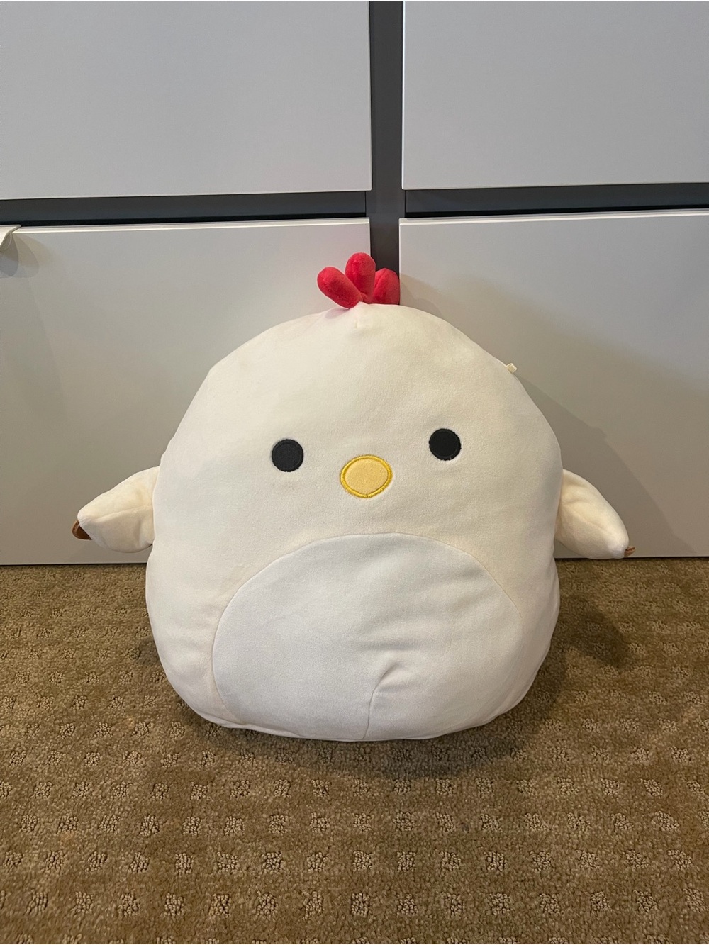 Todd the Chicken Squishmallow 12”